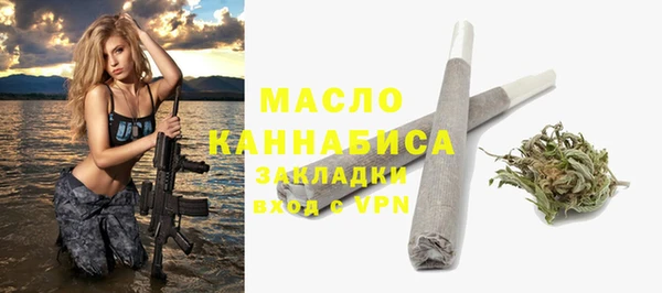 МДПВ Богородск