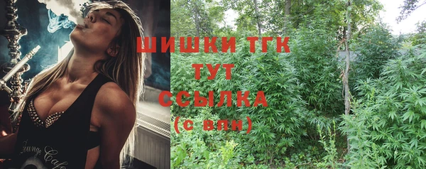 МДПВ Богородск