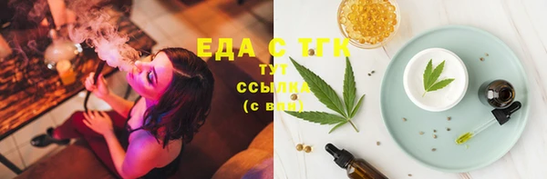 МДПВ Богородск