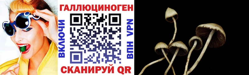 Галлюциногенные грибы Psilocybine cubensis  blacksprut ТОР  Морозовск 