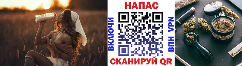 Конопля конопля  Морозовск 